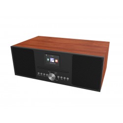 RFA-2025 ( CD, Internet, DAB/DAB+ Radio with BT) 